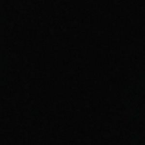 Meet your Posher, Ray